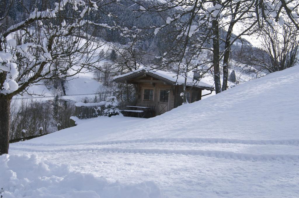 Vordergugg Villa Mittersill Dış mekan fotoğraf